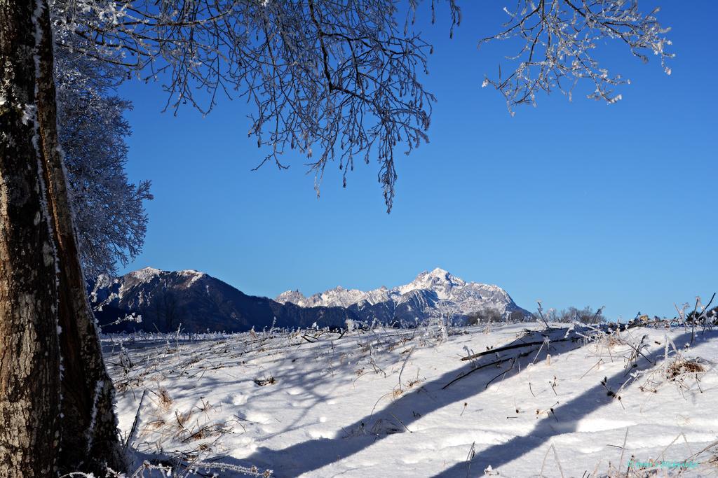 Haus Obermoser Dellach im Drautal Kültér fotó
